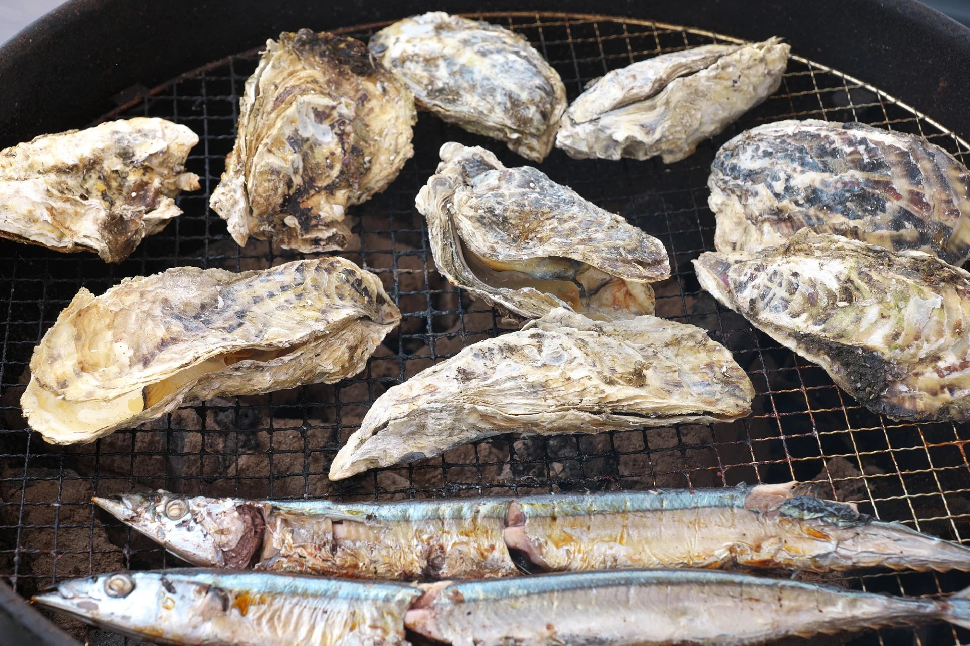 網の上で焼かれる牡蠣とサンマ